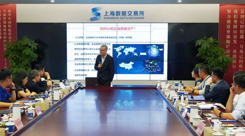 共探企業(yè)數(shù)據(jù)資產(chǎn)化戰(zhàn)略新方向 上海數(shù)交所數(shù)據(jù)咨詢(xún)服務(wù)商培訓(xùn)會(huì)解讀